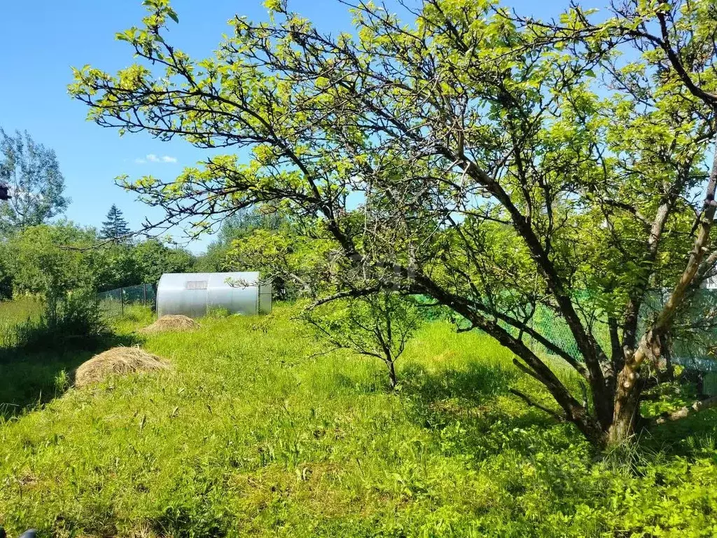 Участок в Санкт-Петербург, Санкт-Петербург, Павловск Славяночка СНТ, 6 ... - Фото 1