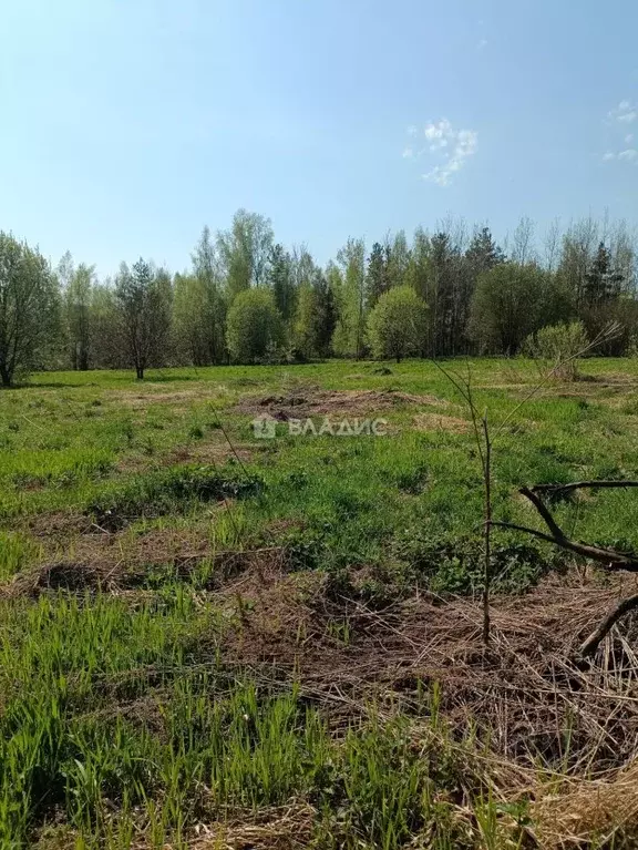 Участок в Владимирская область, Ковровский муниципальный округ, д. ... - Фото 1
