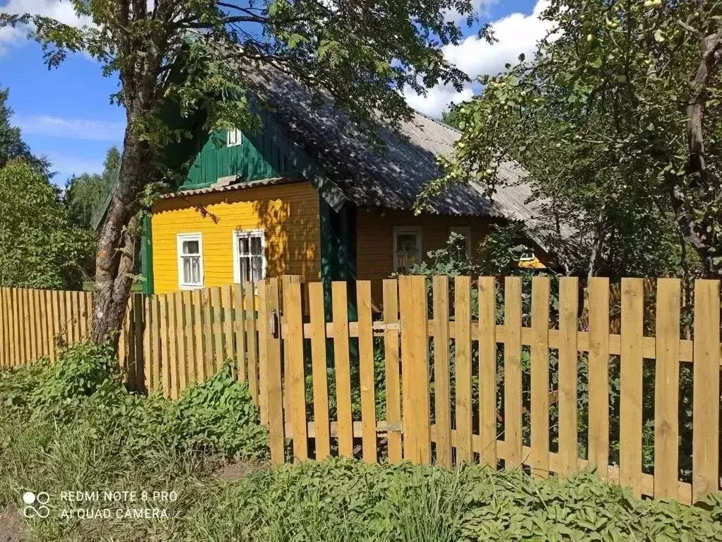 Дом в Псковская область, Плюсский муниципальный округ, д. Почап ул. ... - Фото 2