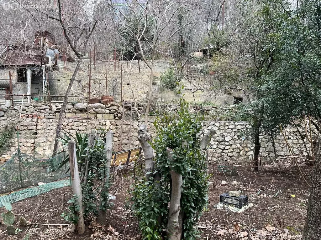 Участок в Ялта, улица Кривошты (20 м) - Фото 1