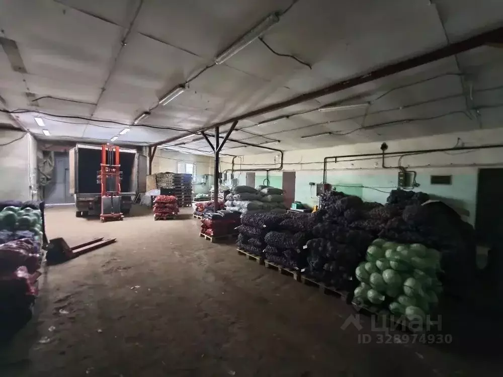 Производственное помещение в Владимирская область, Владимир ... - Фото 1