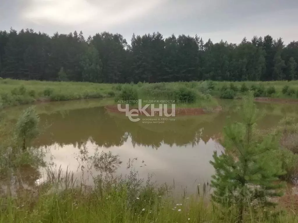 Участок в Нижегородская область, Дальнеконстантиновский муниципальный ... - Фото 0