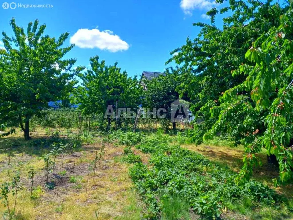 Дом в станица Ладожская, Хлеборобная улица (81.7 м) - Фото 2