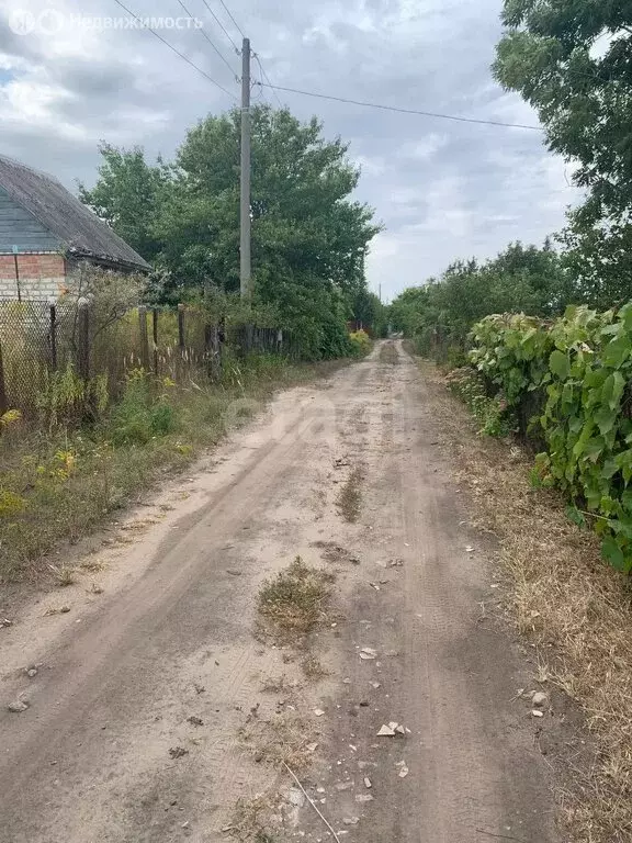 Участок в Воронеж, СНТ Дружба (6 м) - Фото 1