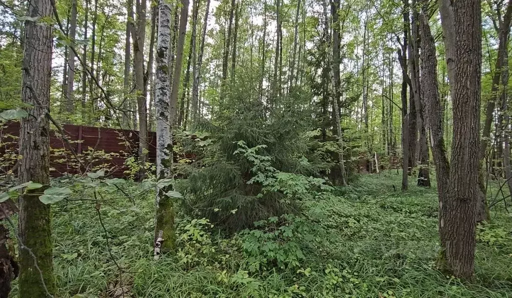 Участок в Москва Лесное озеро кп, 18/2 (14.25 сот.) - Фото 0