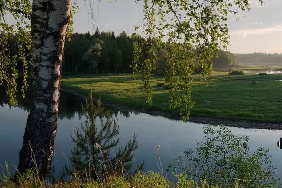 Участок в Московская область, Рузский муниципальный округ, Высоково кп ... - Фото 1