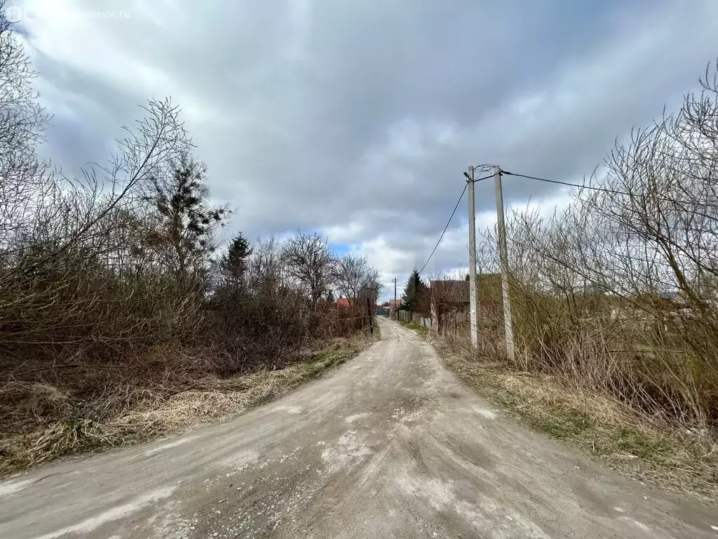 Участок в Калининград, СНТ Дельфин, Рябиновая улица (8.69 м) - Фото 2