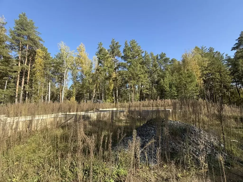 Участок в Алтайский край, Первомайский район, с. Бобровка Партизанская ... - Фото 2