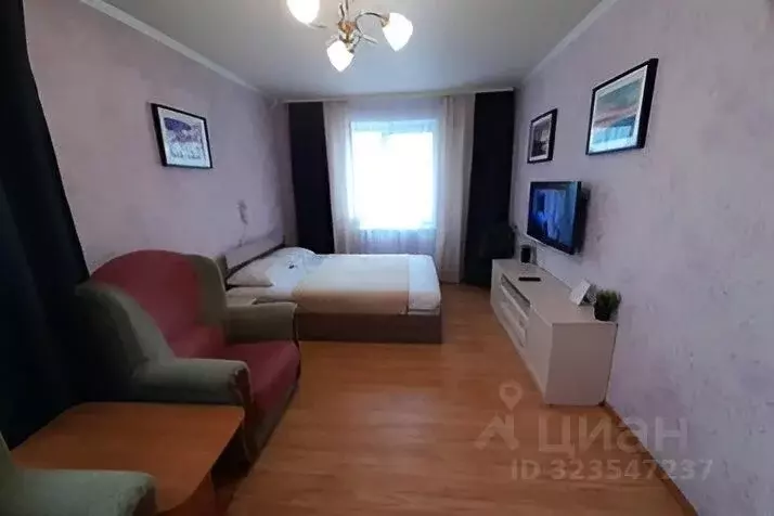 1-к кв. Мурманская область, Мурманск Северный проезд, 2 (33.0 м) - Фото 1