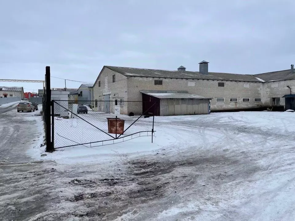 Склад в Белгородская область, Белгородский район, с. Стрелецкое пер. ... - Фото 0