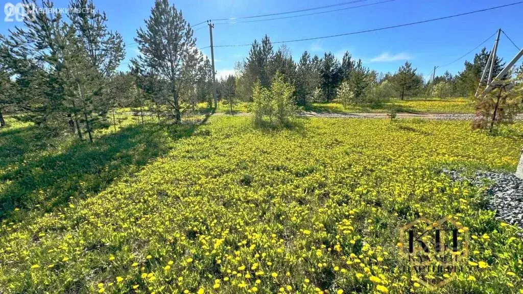 Участок в Свердловская область, Белоярский муниципальный округ, ... - Фото 2