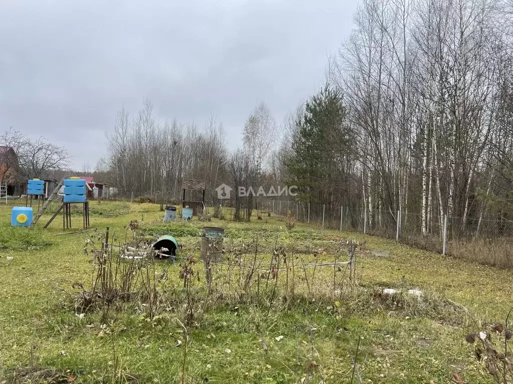 Участок в Владимирская область, Судогодский район, Головинское ... - Фото 0