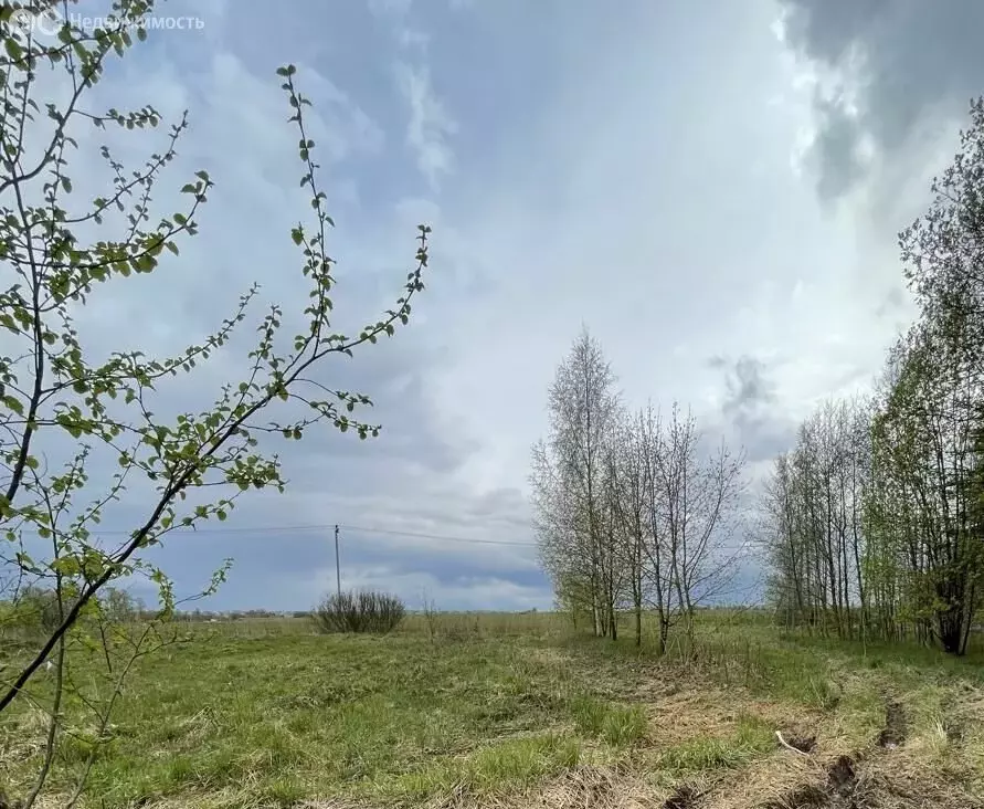 Участок в Аннинское городское поселение, деревня Рюмки (10 м) - Фото 0