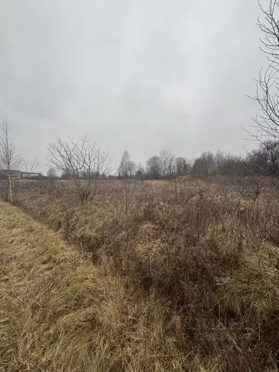 Участок в Московская область, Ступино городской округ, д. ... - Фото 0