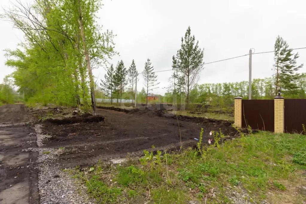 Участок в Тюменская область, Тюмень Звенящие Кедры Тюмени ДНП,  (7.0 ... - Фото 0