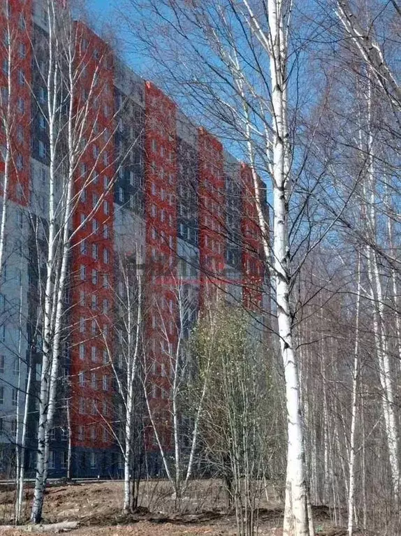3-к кв. Ярославская область, Ярославль ул. Дядьковская, 16А (65.0 м) - Фото 0