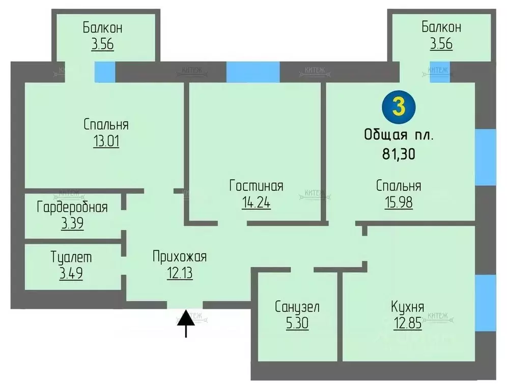 3-к кв. Калужская область, Калуга проезд Юрия Круглова, 8 (83.34 м) - Фото 2