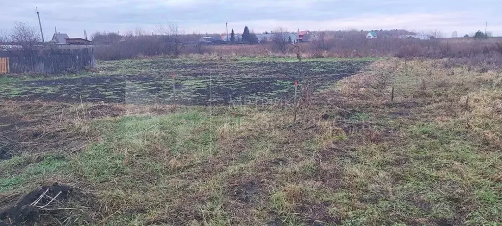 Участок в Свердловская область, Тугулымский муниципальный округ, с. ... - Фото 1