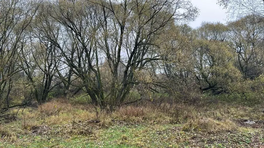 Участок в Московская область, Ступино городской округ, с. Чернышово  ... - Фото 1