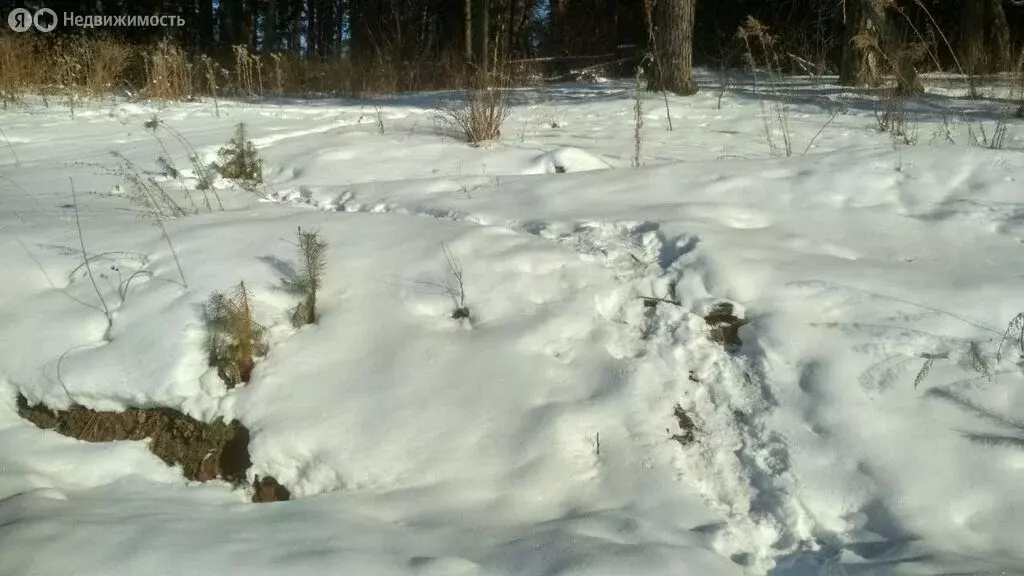 Участок в Майминский район, село Манжерок (10 м) - Фото 2