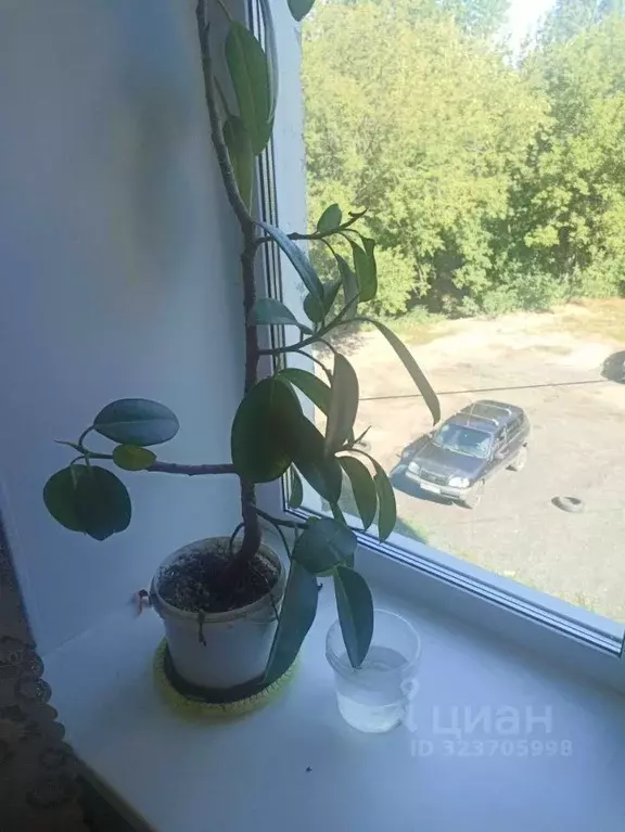 Комната Нижегородская область, Нижний Новгород ул. Подводников, 5 ... - Фото 1