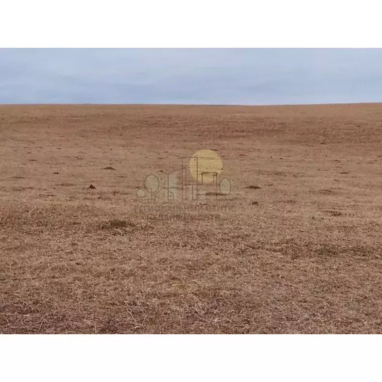 Участок в Иркутская область, Баяндаевский район, с. Тургеневка  ... - Фото 0