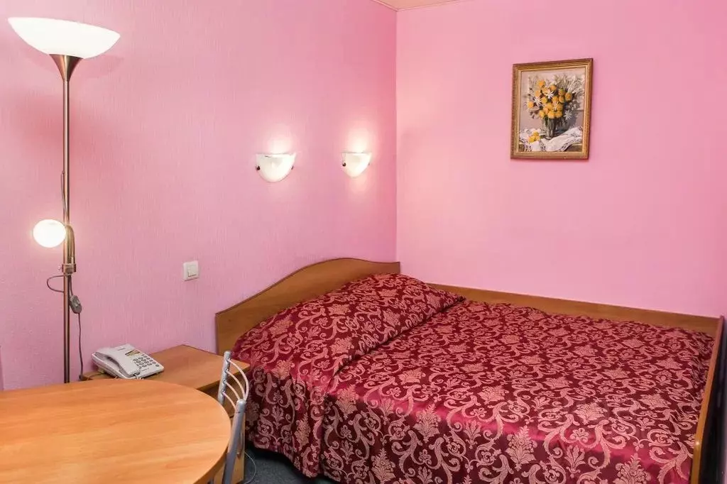 Комната Нижегородская область, Нижний Новгород пер. Крутой, 6В - Фото 1