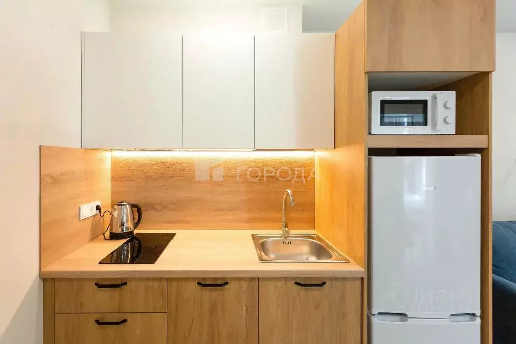 2-к кв. Новосибирская область, Новосибирск ул. Кирова, 113/2 (32.0 м) - Фото 1