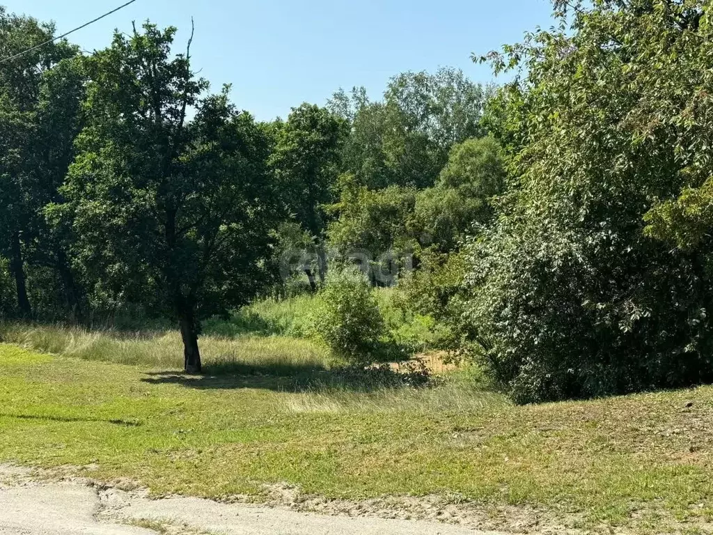 Участок в Амурская область, Благовещенск пос. Моховая Падь,  (12.0 ... - Фото 1