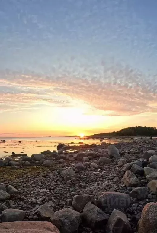 Участок в Архангельская область, Приморский муниципальный округ, пос. ... - Фото 1