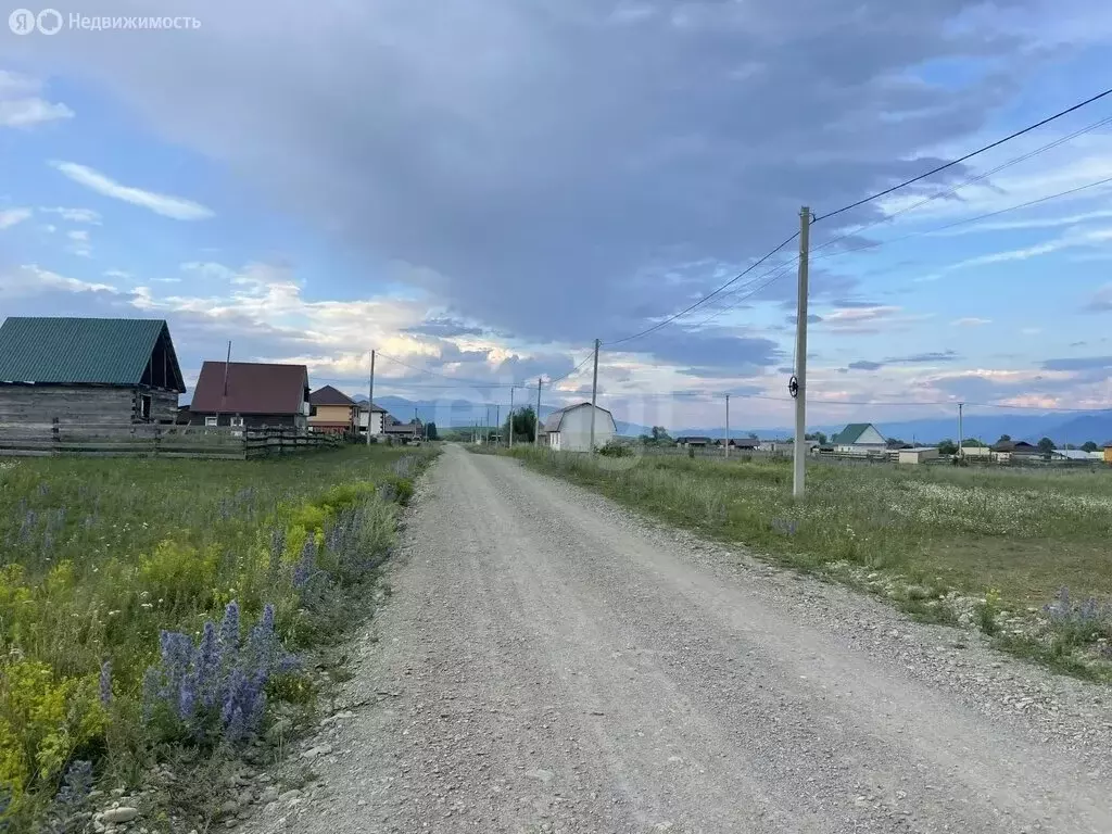 Участок в село Усть-Кокса, улица Энтузиастов (14.9 м) - Фото 2