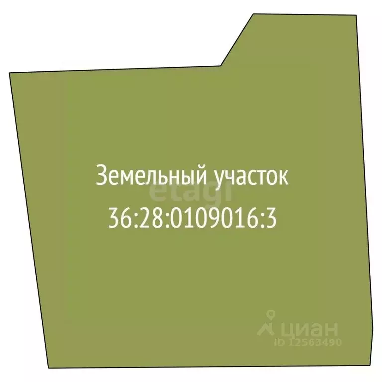Участок в Воронежская область, Семилуки ул. Займище (22.7 сот.) - Фото 2
