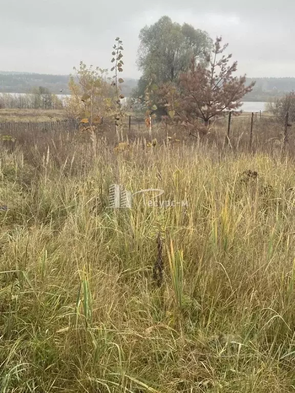 Дом в Нижегородская область, Выкса городской округ, Ближне-Песочное рп ... - Фото 1