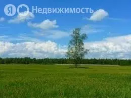Участок в Курган, посёлок Карчевская Роща, Новая улица (9 м) - Фото 1