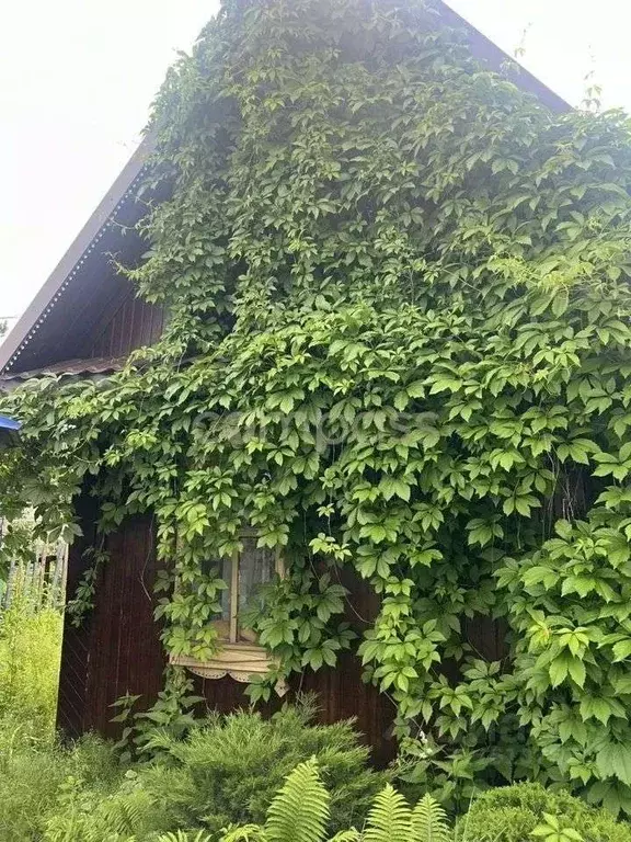 Дом в Тюменская область, Тюменский район, Рассвет СНТ ул. Рассвет (55 ... - Фото 0