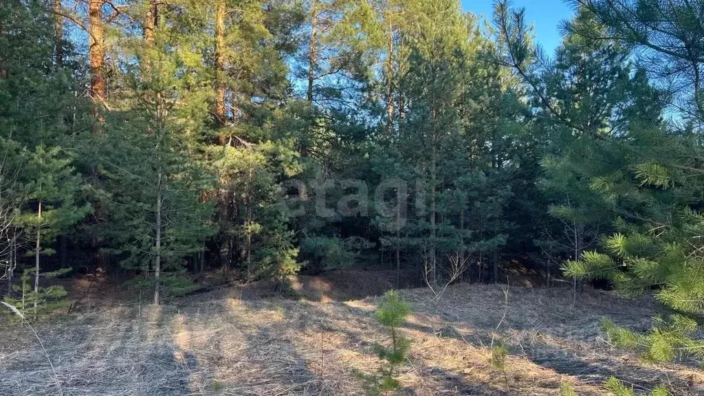 Участок в Татарстан, Казань  (15.0 сот.) - Фото 1