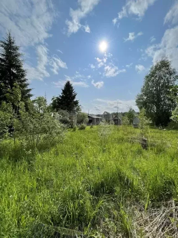 Участок в Архангельская область, Котласский муниципальный округ, ... - Фото 1