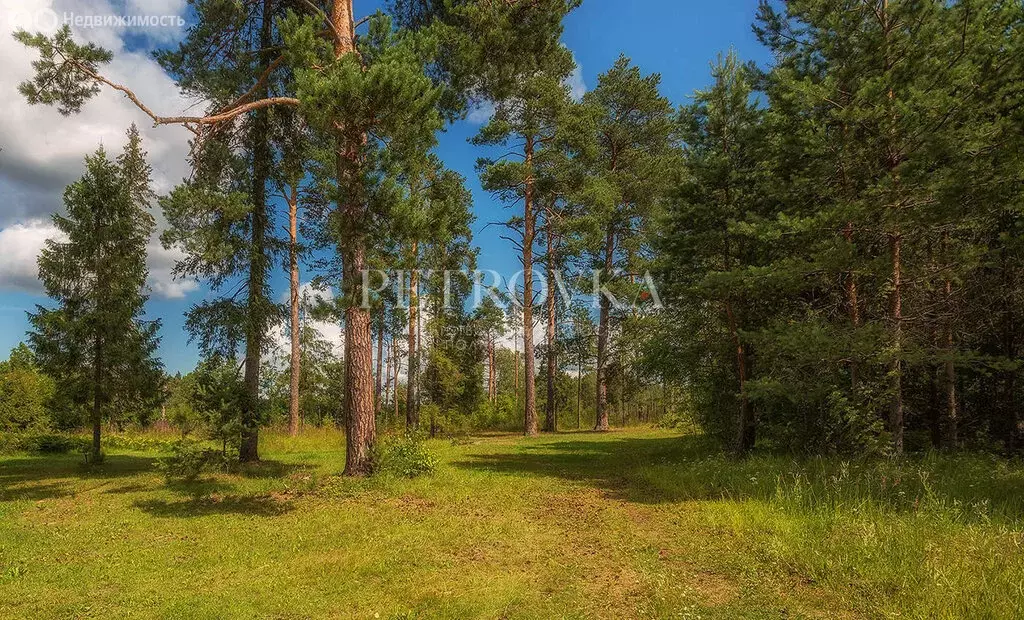 Участок в посёлок городского типа Кратово, Большая Московская улица ... - Фото 1