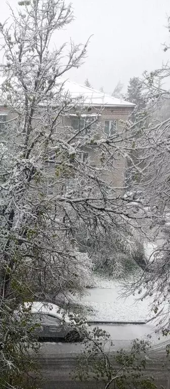 2-к. квартира, 50 м, 3/5 эт. - Фото 0