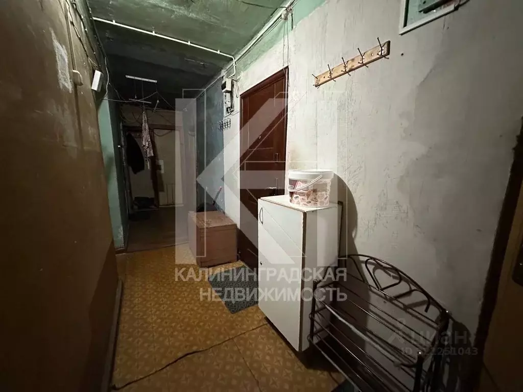 Комната Калининградская область, Калининград ул. Павлика Морозова, 115 ... - Фото 1