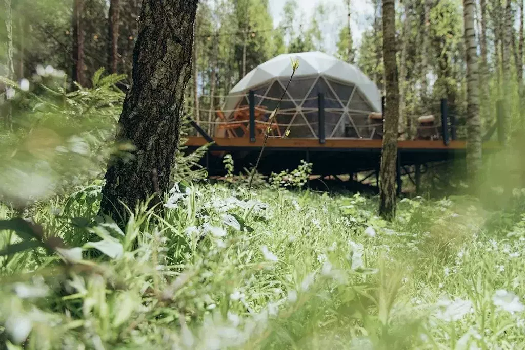 Дом в Калужская область, Дзержинский район, Никольское с/пос, д. ... - Фото 2