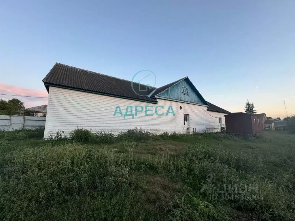 Помещение свободного назначения в Белгородская область, Новооскольский ... - Фото 1