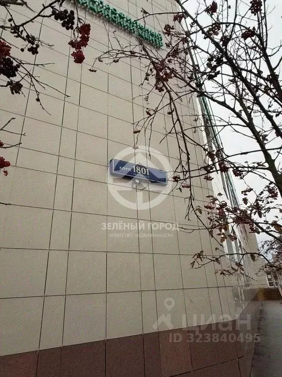 Помещение свободного назначения в Москва, Москва, Зеленоград к1801 ... - Фото 2