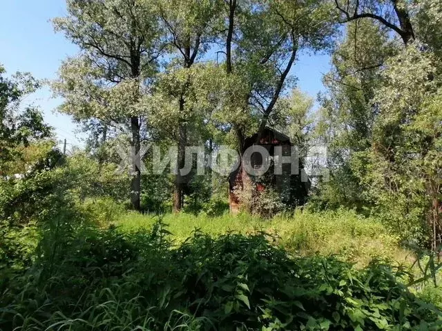 Участок 7,2 сот. (ИЖС) - Фото 0