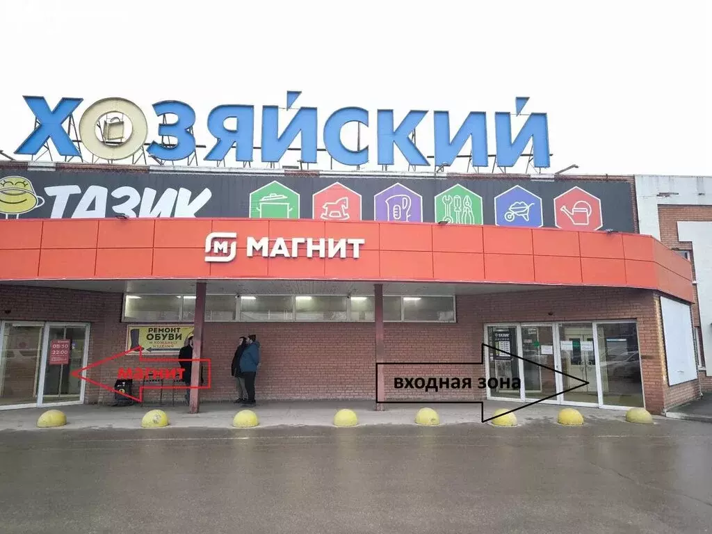 Помещение свободного назначения (273 м) - Фото 2