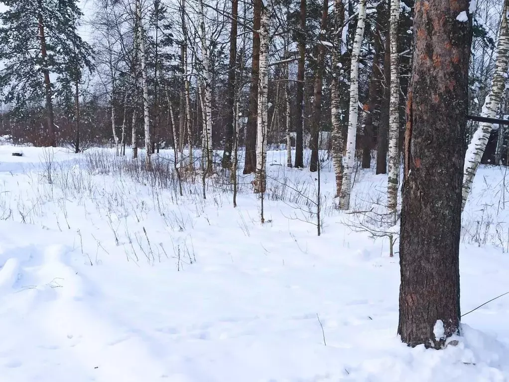 Участок в Ленинградская область, Тосненский район, Рябовское городское ... - Фото 1