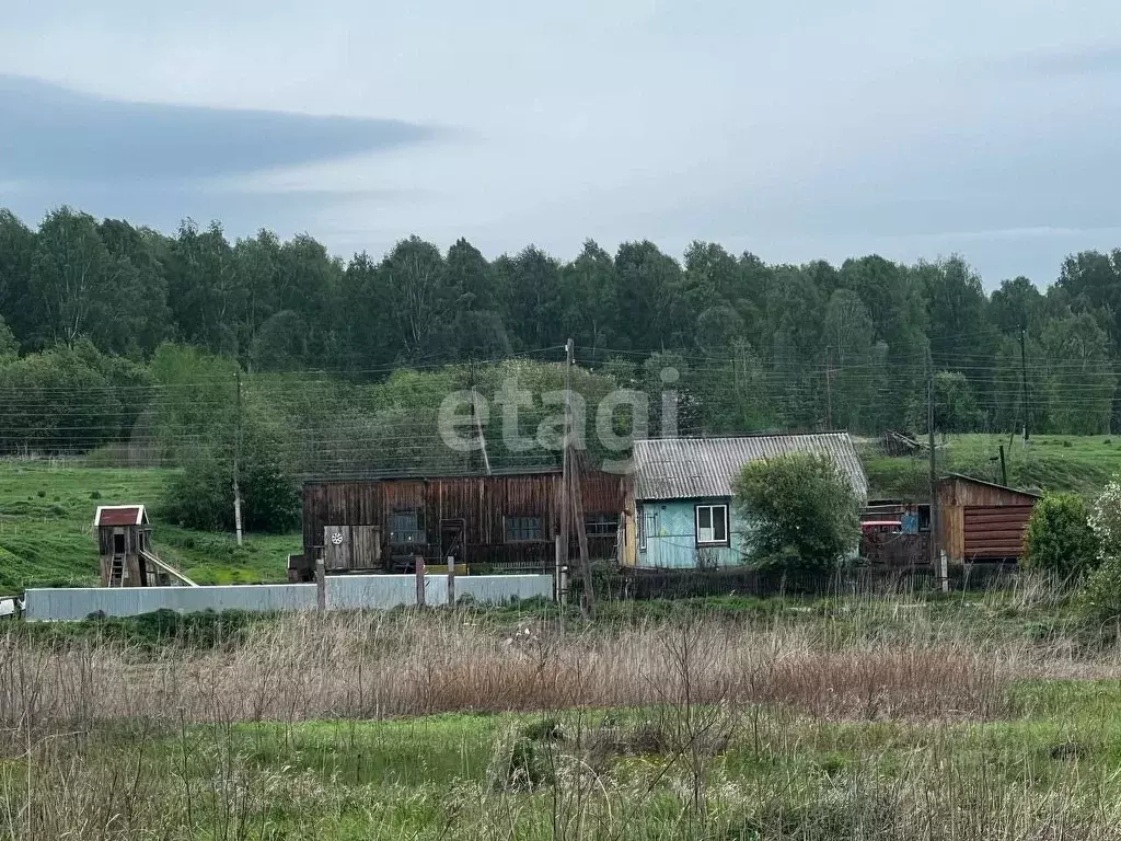 Дом в Алтайский край, Тальменский район, с. Анисимово Набережная ул. ... - Фото 2