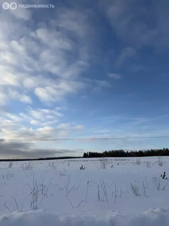 Участок в Бобинское сельское поселение, деревня Корюгино, ... - Фото 1