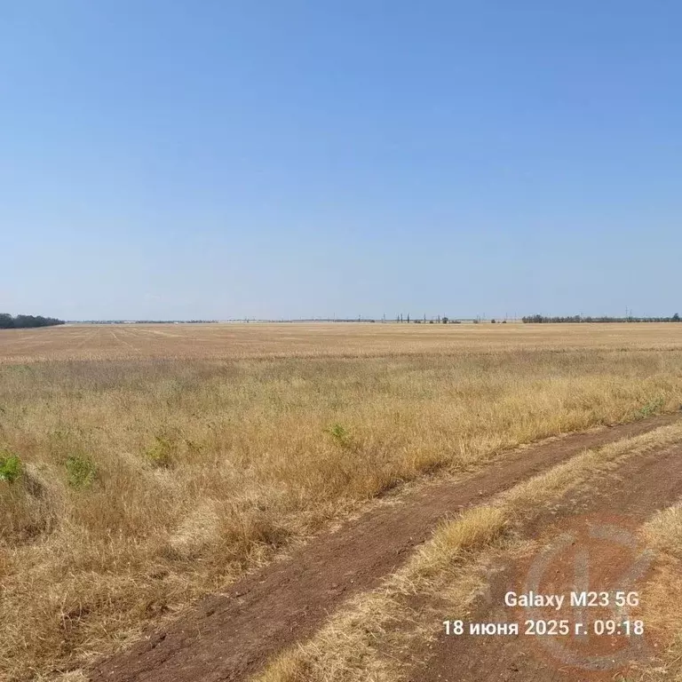 Участок в Крым, Черноморский район, с. Новоивановка  (6.23 сот.) - Фото 1