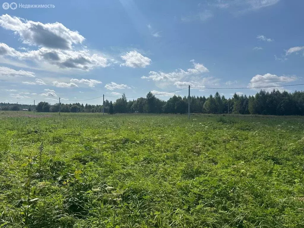 Участок в Московская область, городской округ Клин, деревня Вертково ... - Фото 0